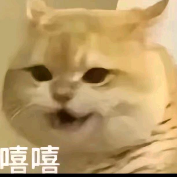 金丝熊是世间珍宝