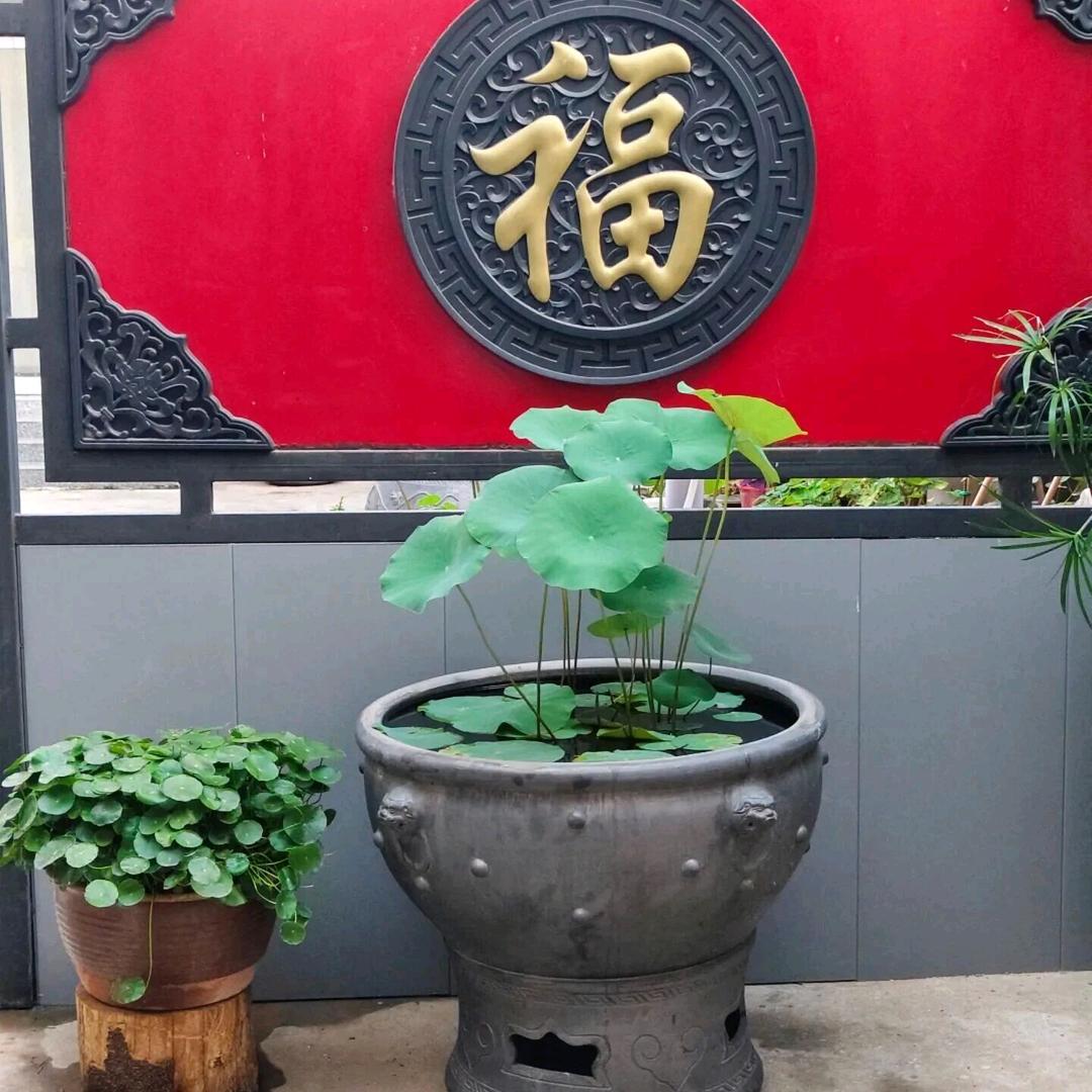 郓城吊车，微挖，救援车，叉车，随车吊出租