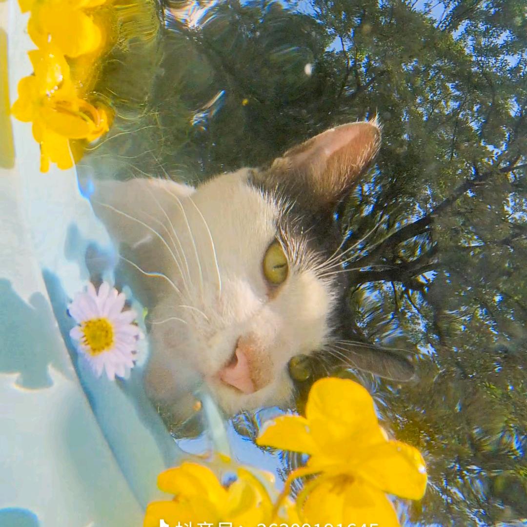 普普📷