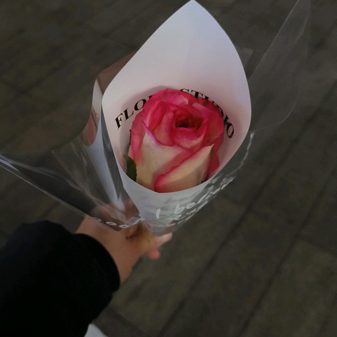 小布家～