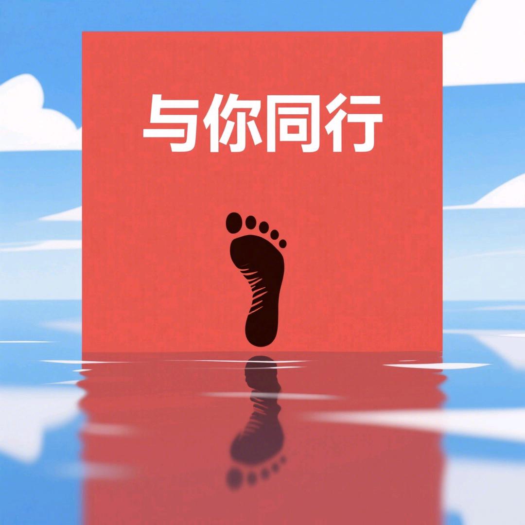 卫子网络