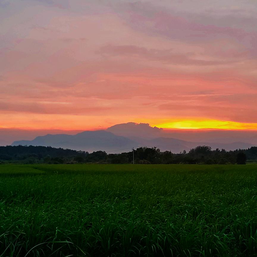 不发脾气只发财🧚