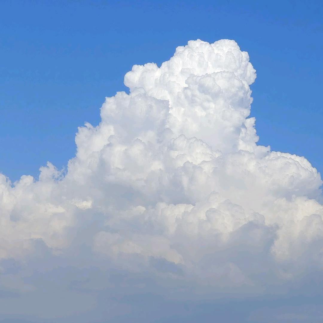 🍊万物碎银控🍊