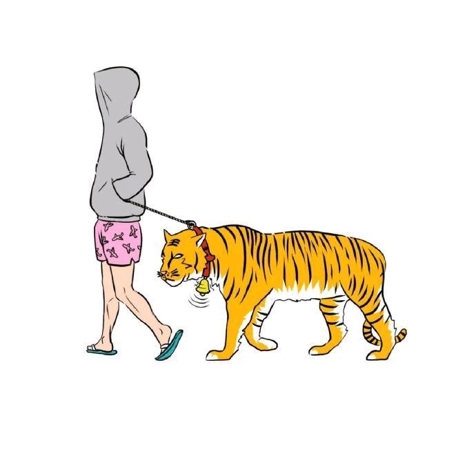 不语却知鑫