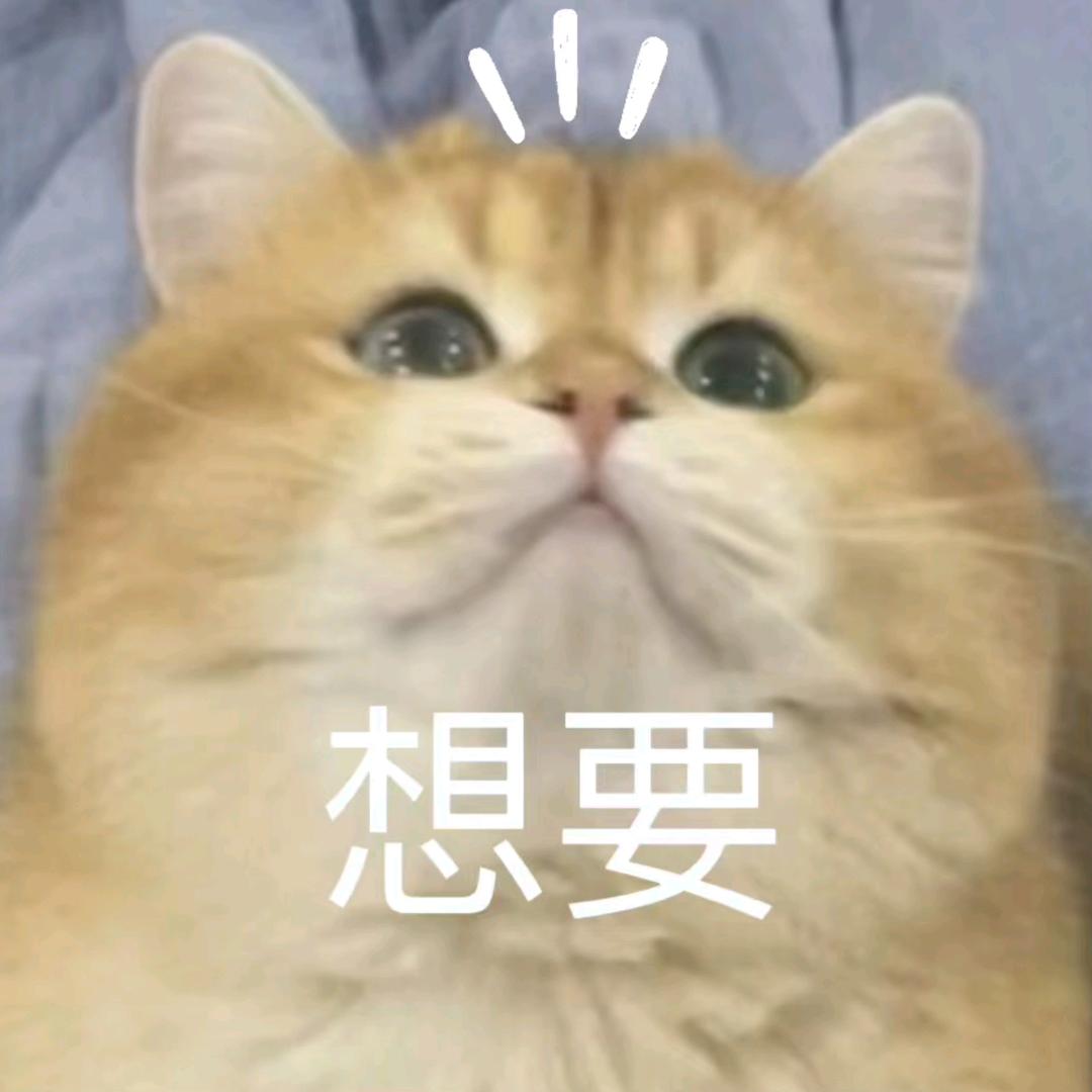 足球直播880