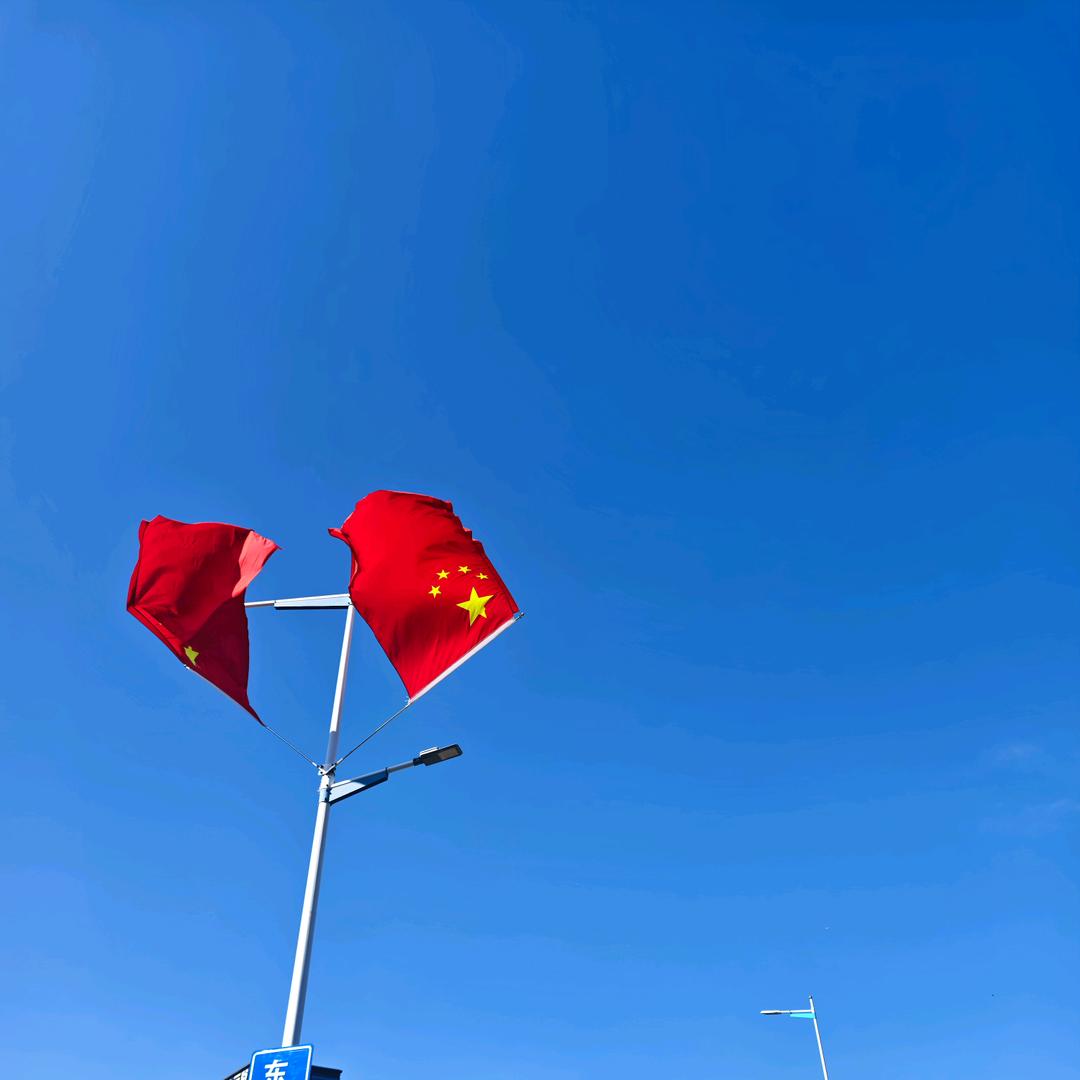 行走的鱼🐟