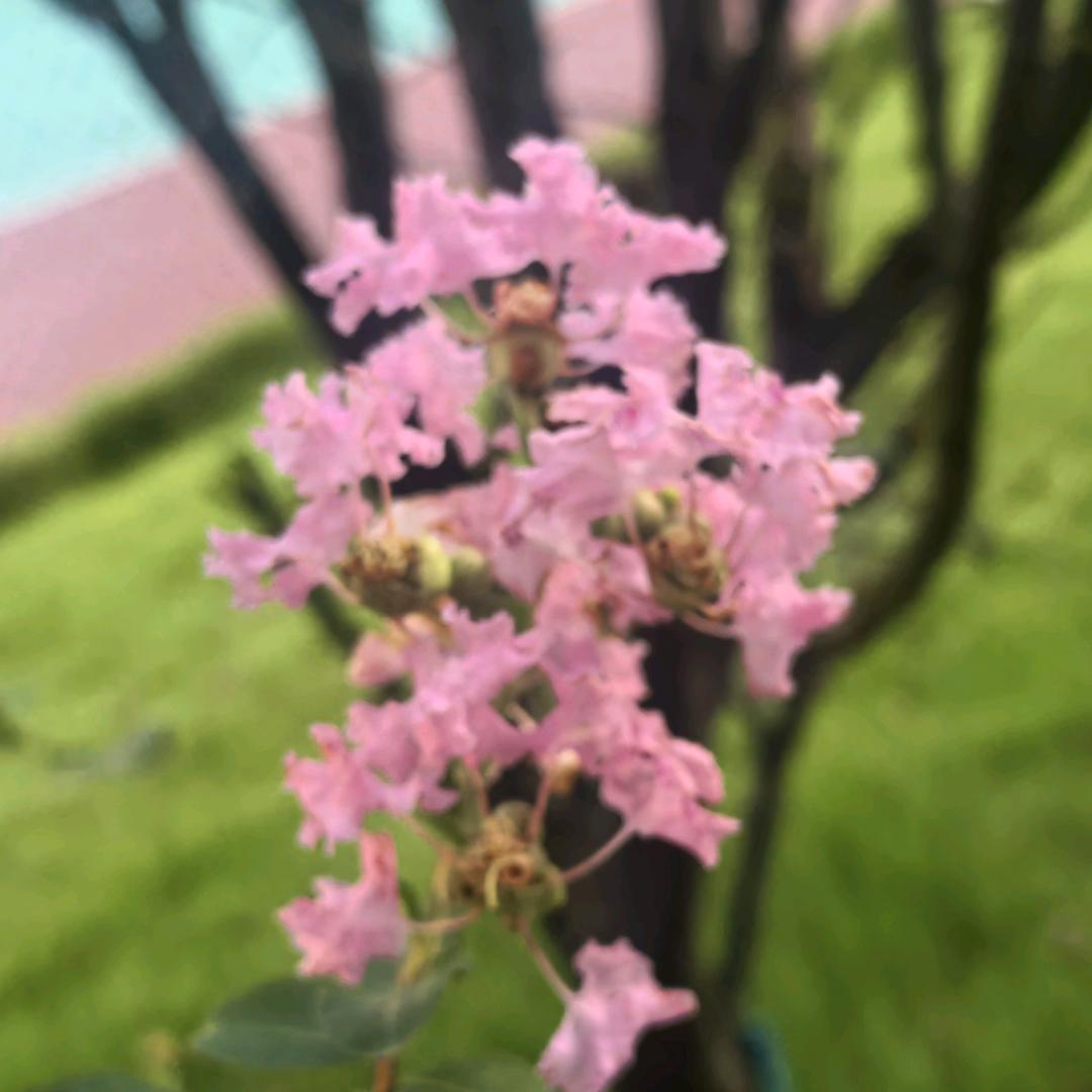 @.陈燕