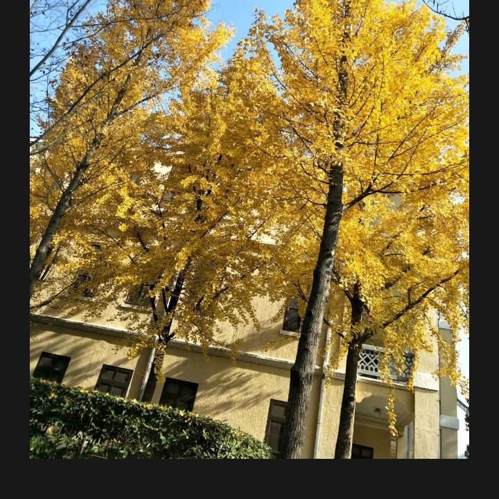 又说那话
