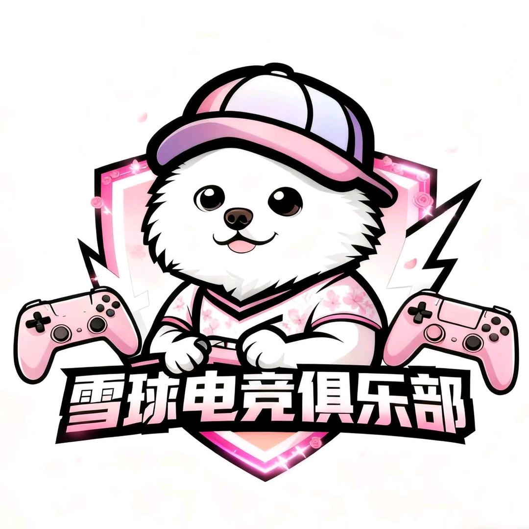雪球电竞-柒（三角洲行动）