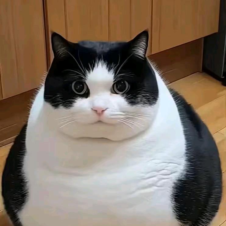 糖果🍬🍬