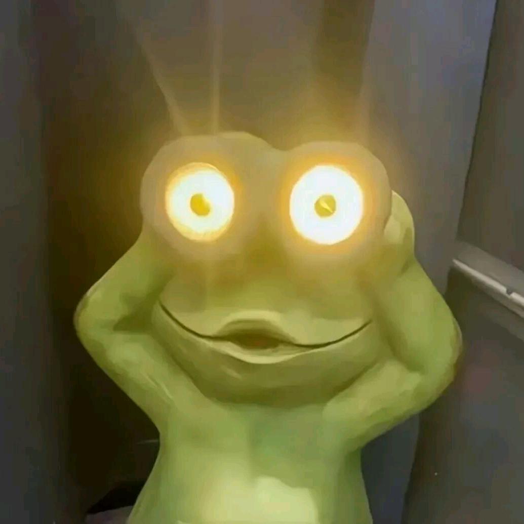 开手电蛙