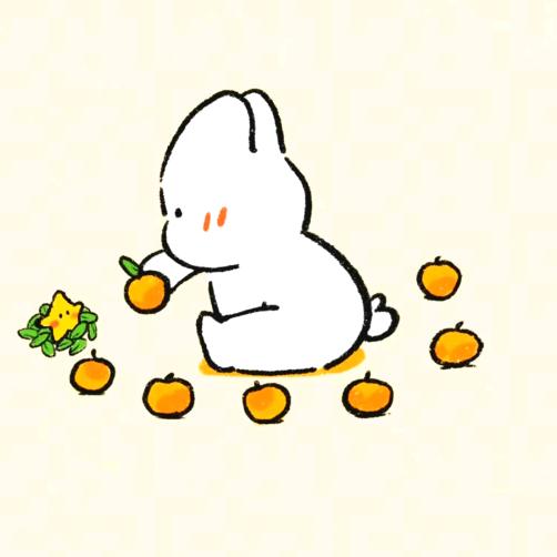乡村刘大霞日常