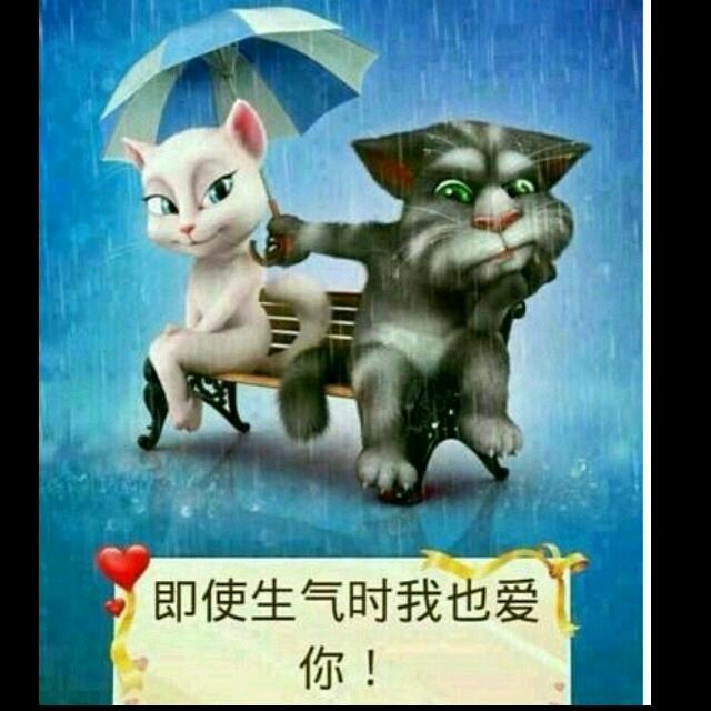 为你停留