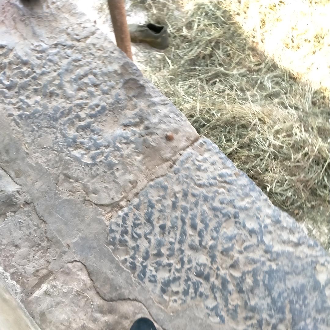 轻舟