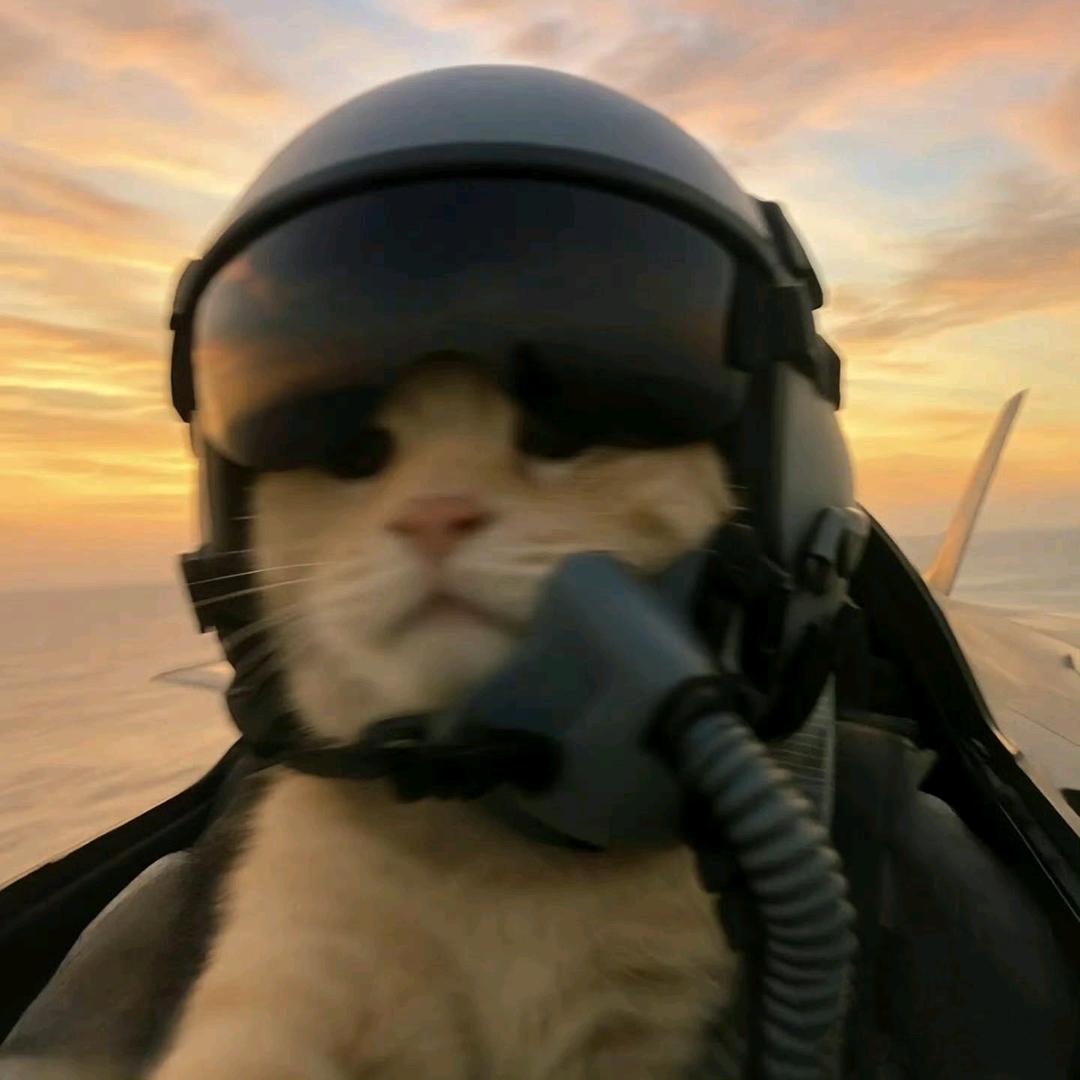 俊俊半夜还没睡觉