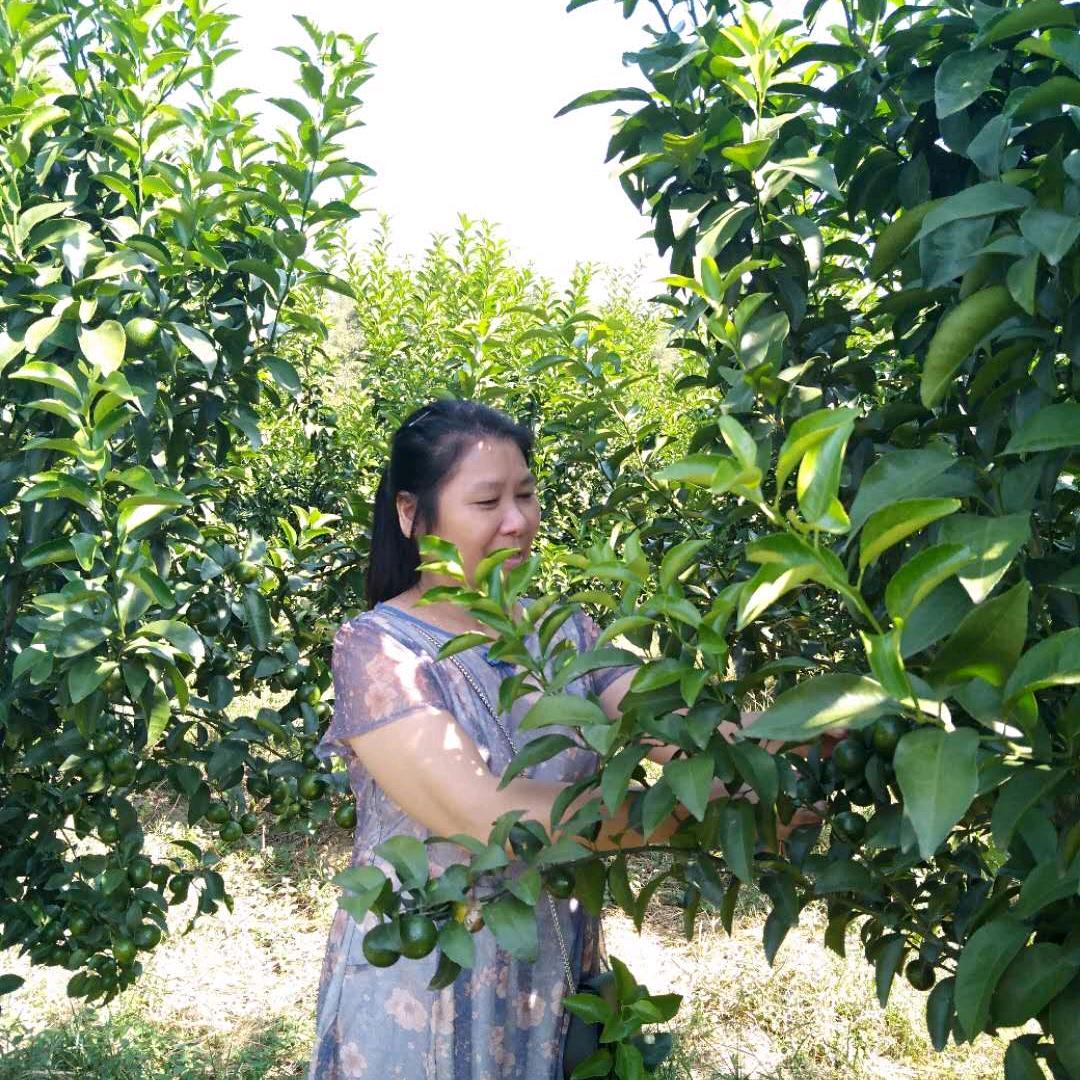 郑素