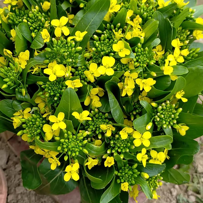 心☔️雨☔️☔️☔️