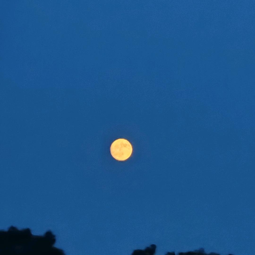 吴校长初升高规划圈