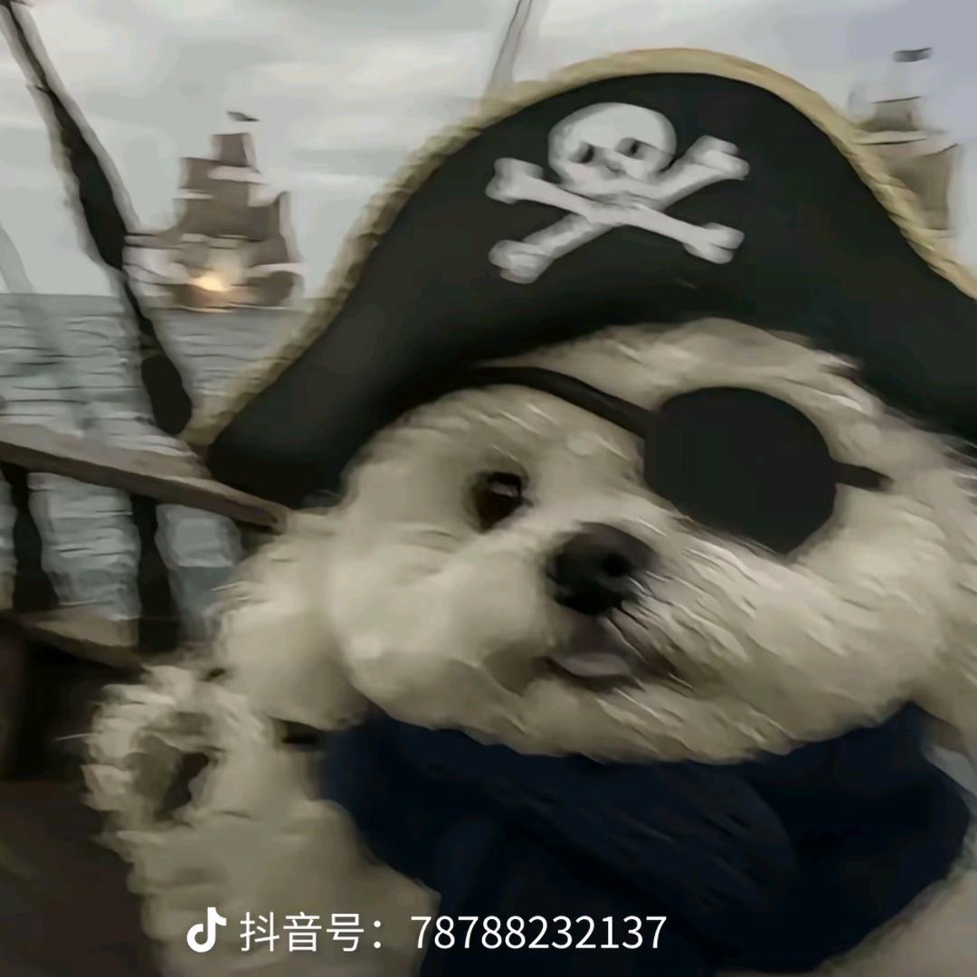 赐心