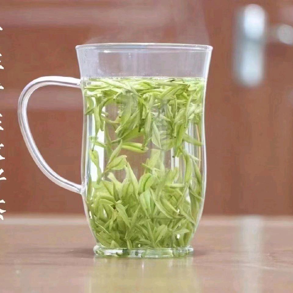 镇安茶言观色