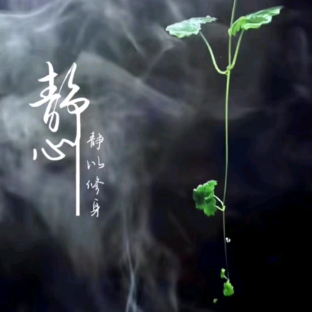 ᥫᩣᰱᐤ Xueʕ•̫͡✿ฺ