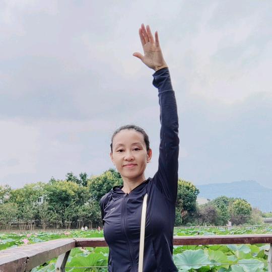 海海子6