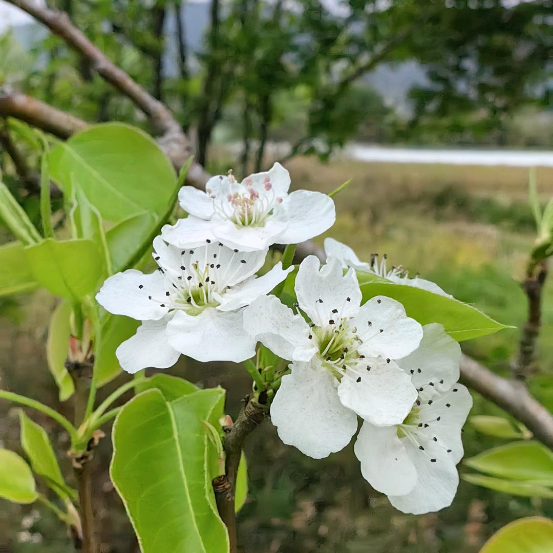 似水流年