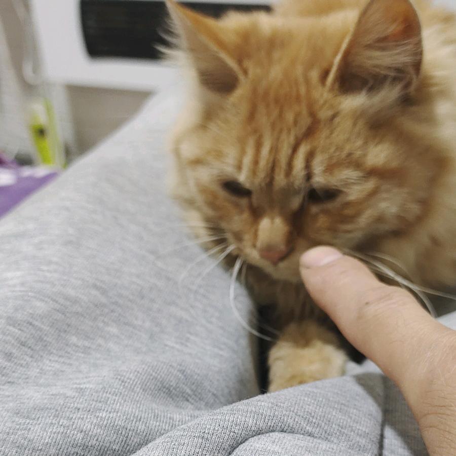 花满楼，窈窕淑女，君子好逑