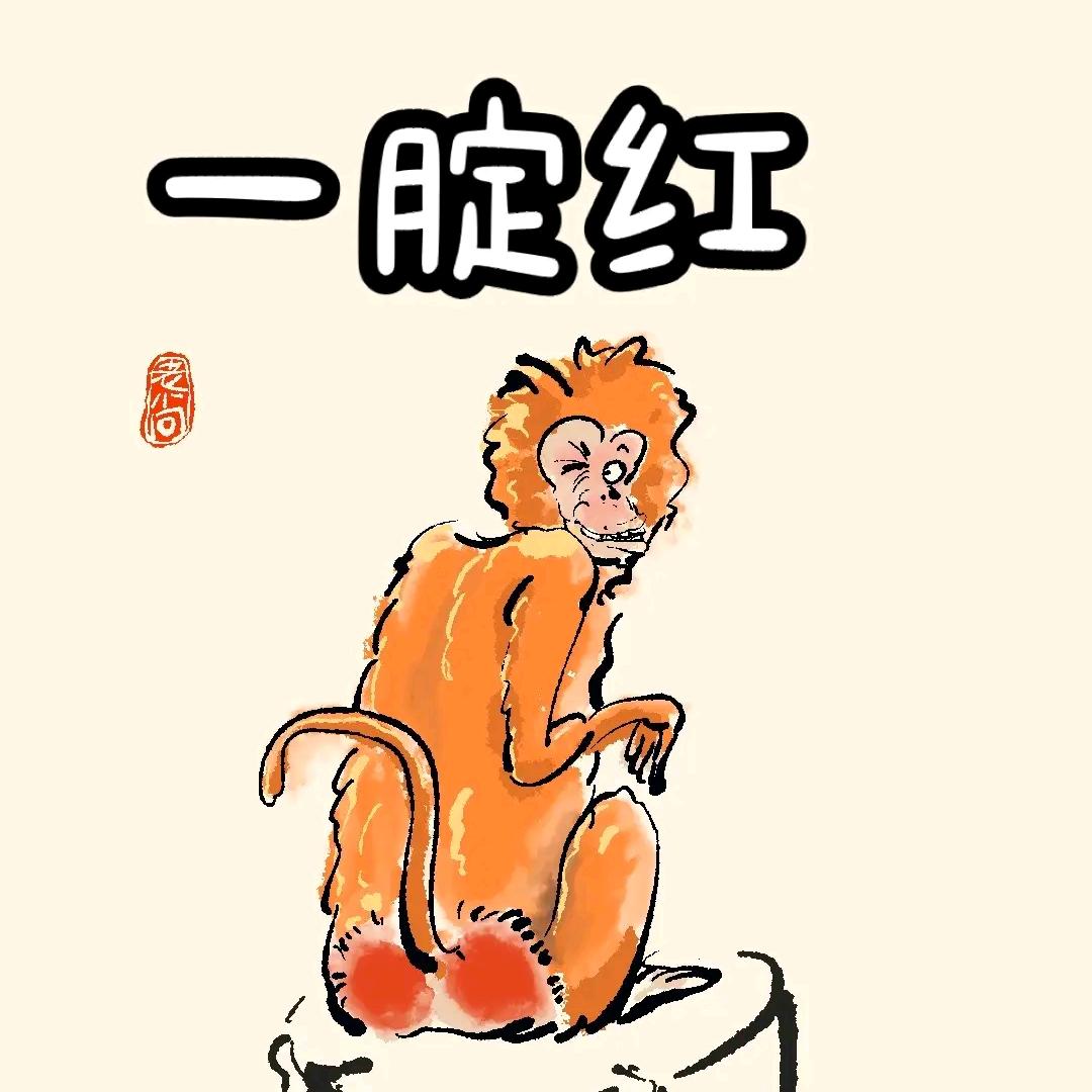 满山的猴子我腚最红