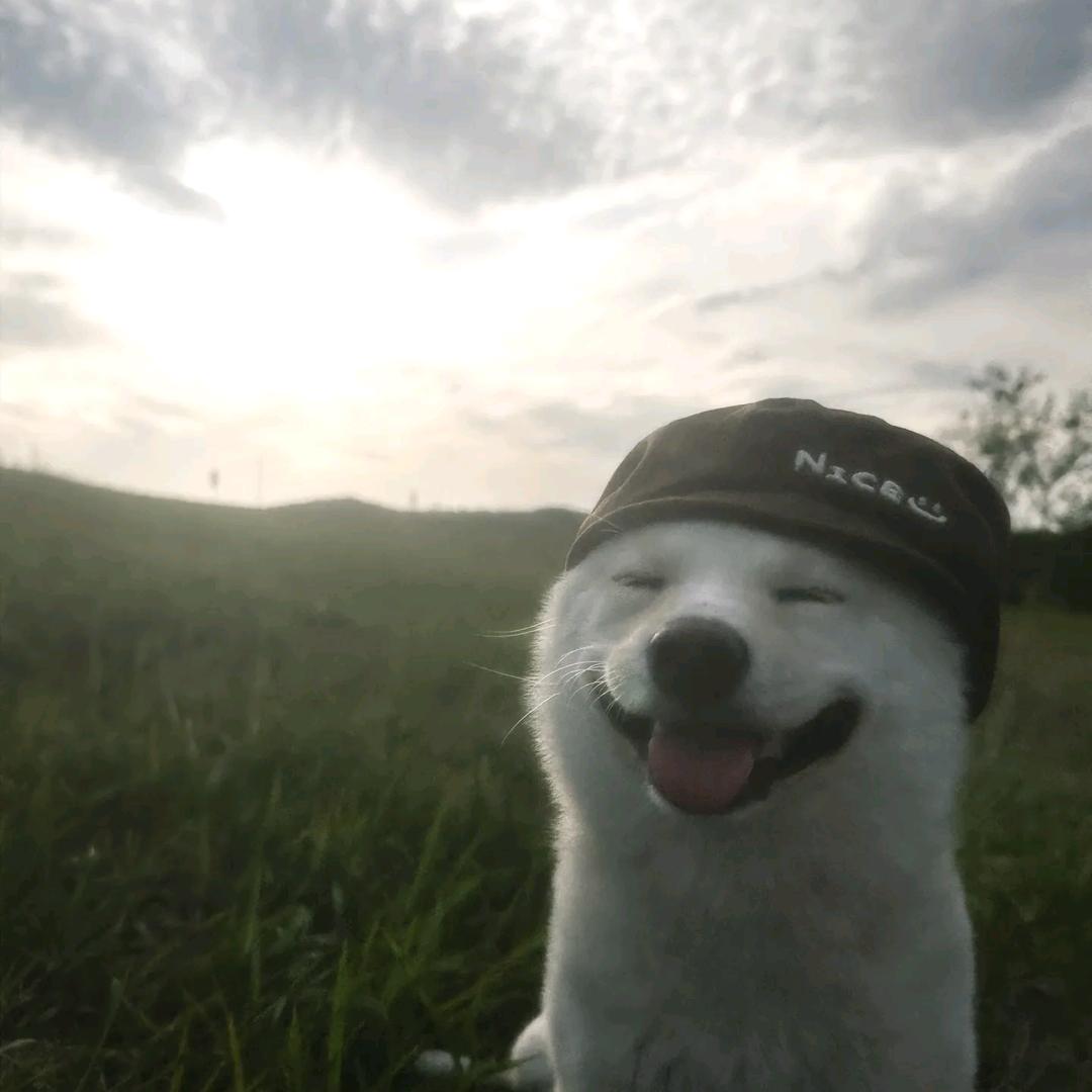 晚风和晚霞