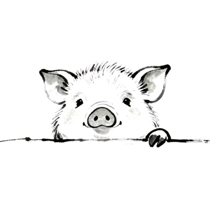 丽丽