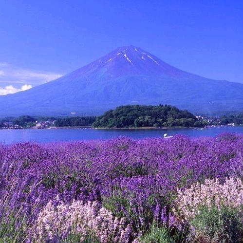 💖彭然心动💞