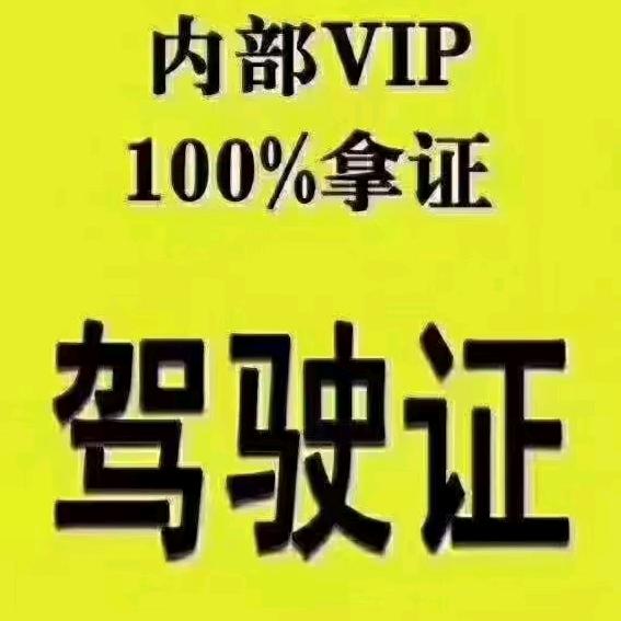 专收驾考困难户(小号)