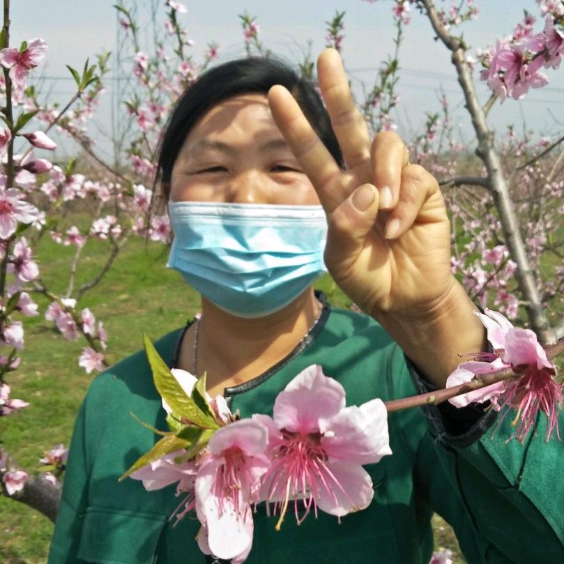 十里桃花