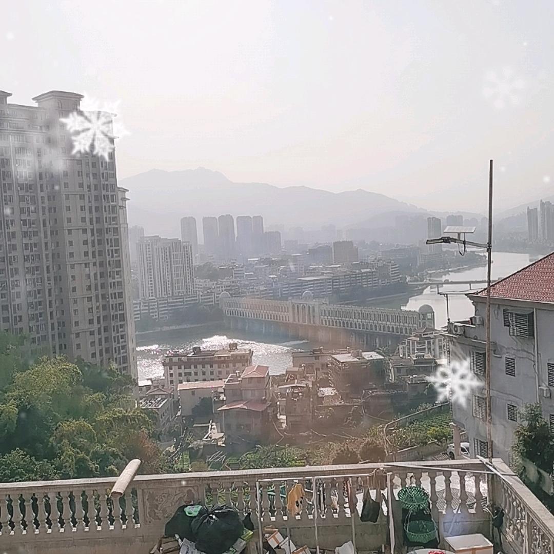 心怡