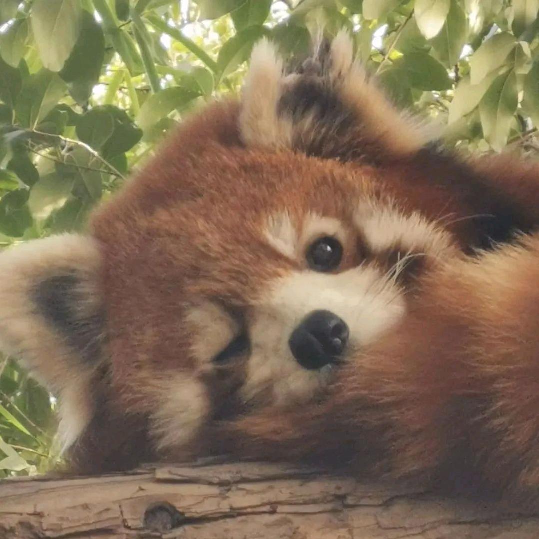 杀人不wink