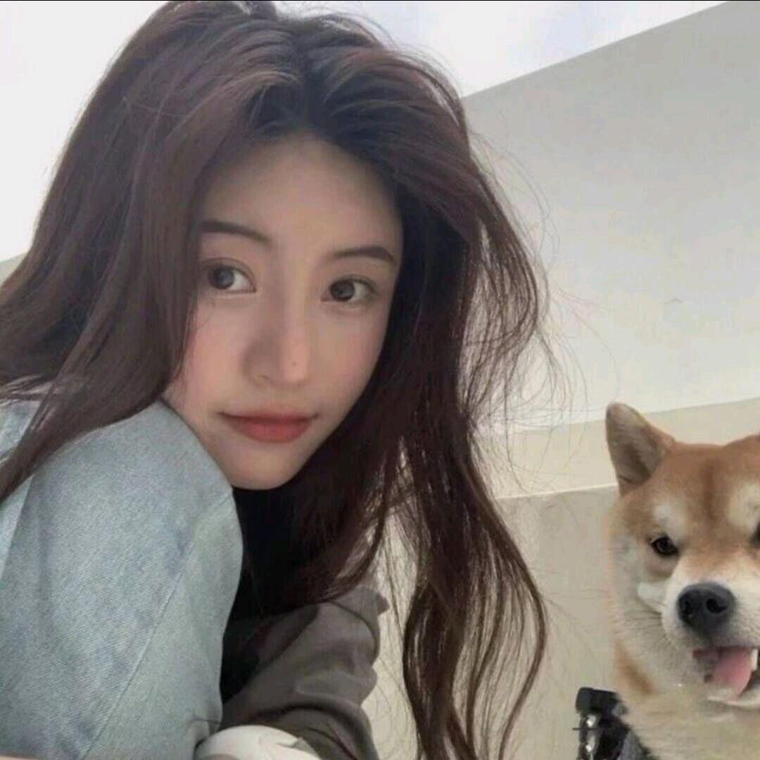 仲春拾辰头像