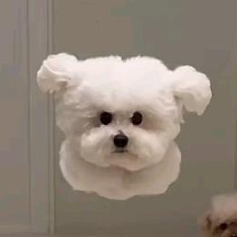 好么好的