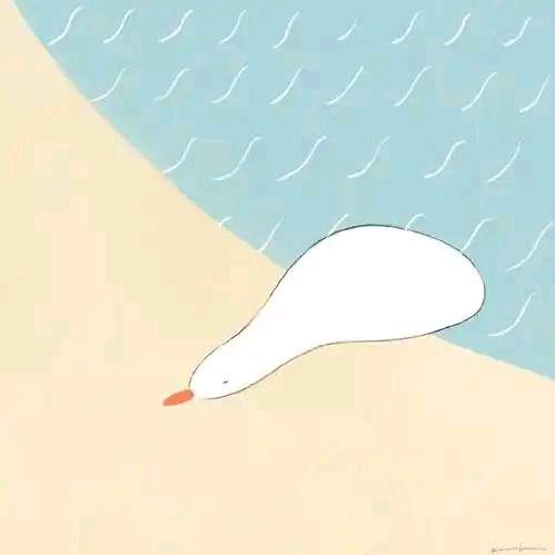 张大方鸭