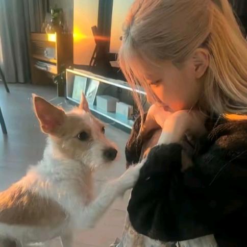 酥酥（王者荣耀国一典韦）