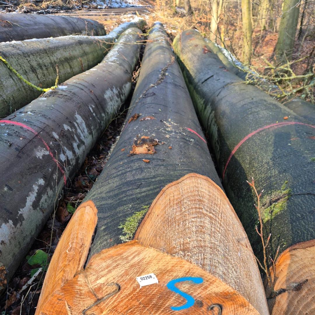 丰县闯天下木材加工厂