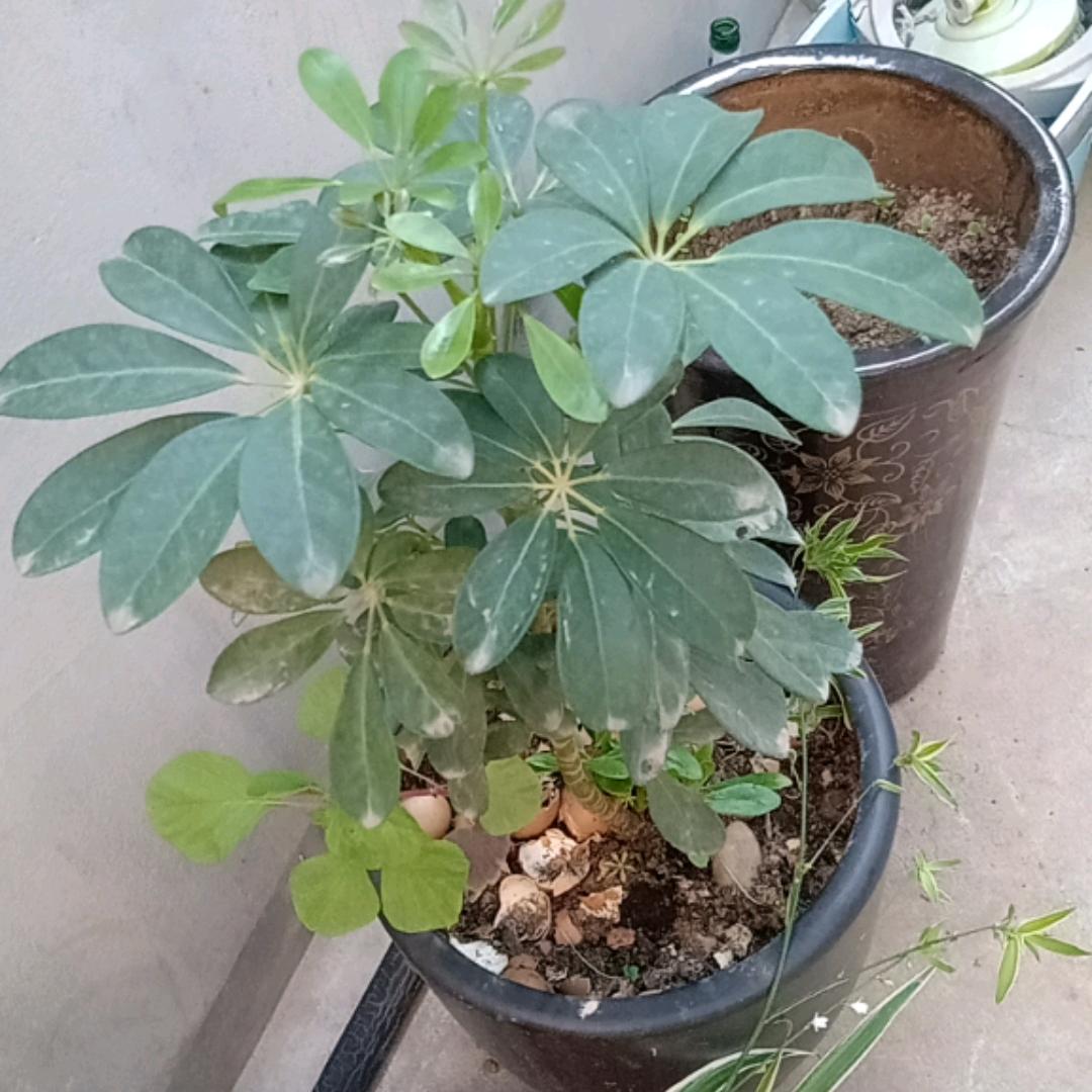 专治，颈椎腰疼臀疼腿疼