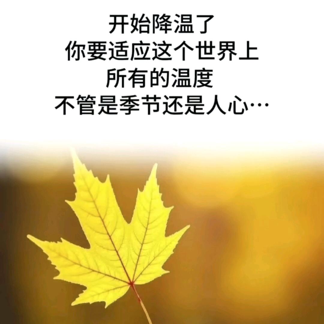 退而求其次（拒绝私聊）