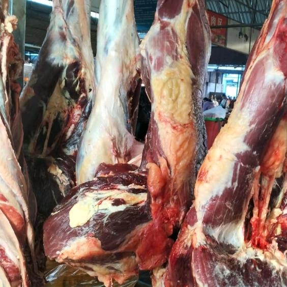 永盛路清真食府回味家园大量出售鲜牛肉牛