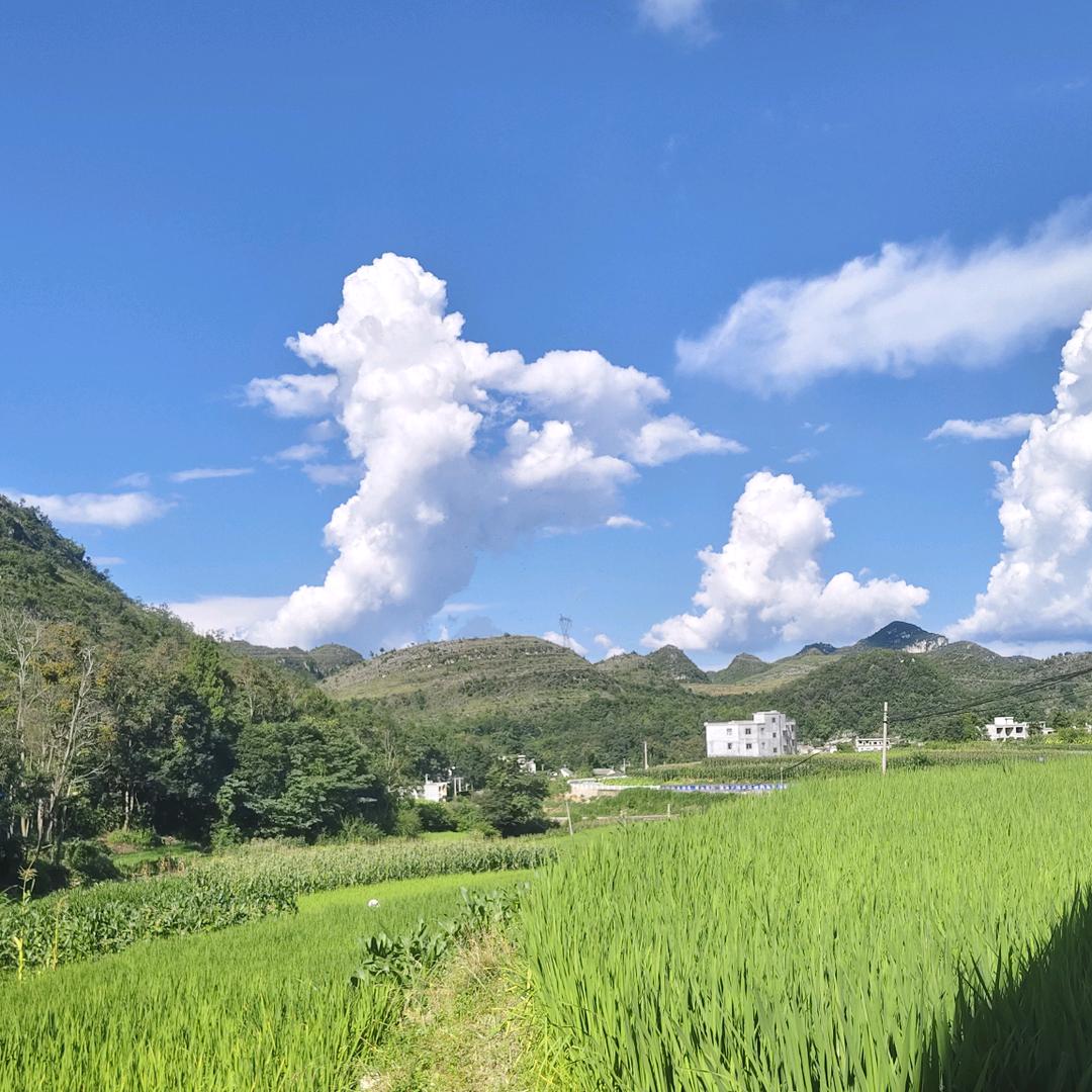 喜欢的秋天