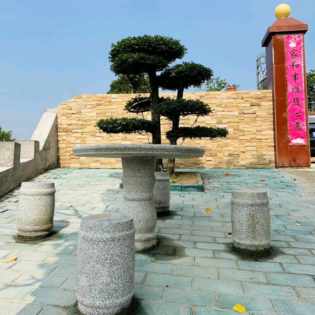 娱乐