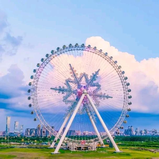 哈尔滨各大景区挖婆婆丁