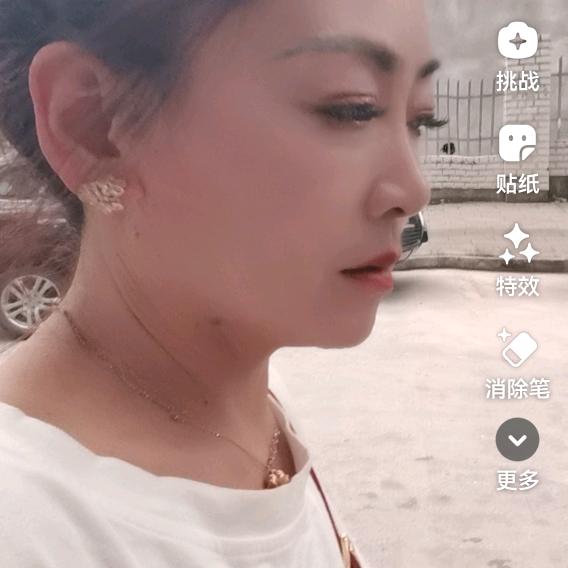 秋天的燕子