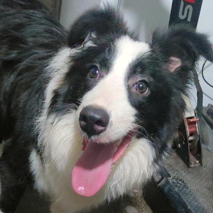 @快乐小天使👼