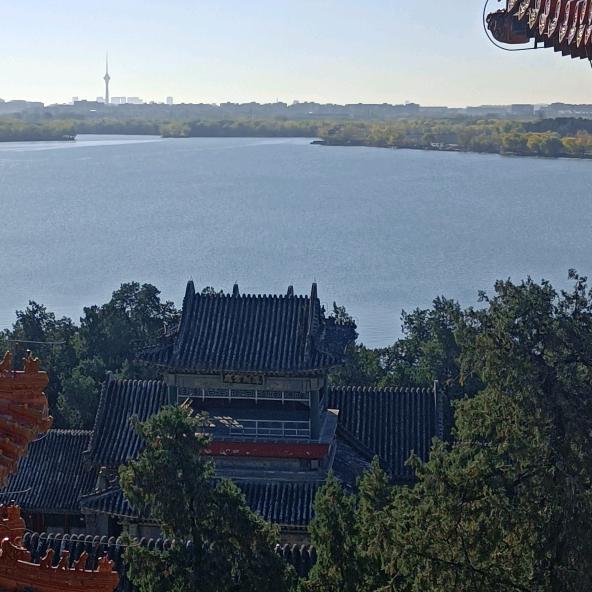 背心老哥